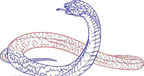 Як намалювати змію