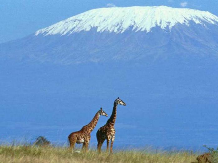 географічні координати вулкана Кіліманджаро